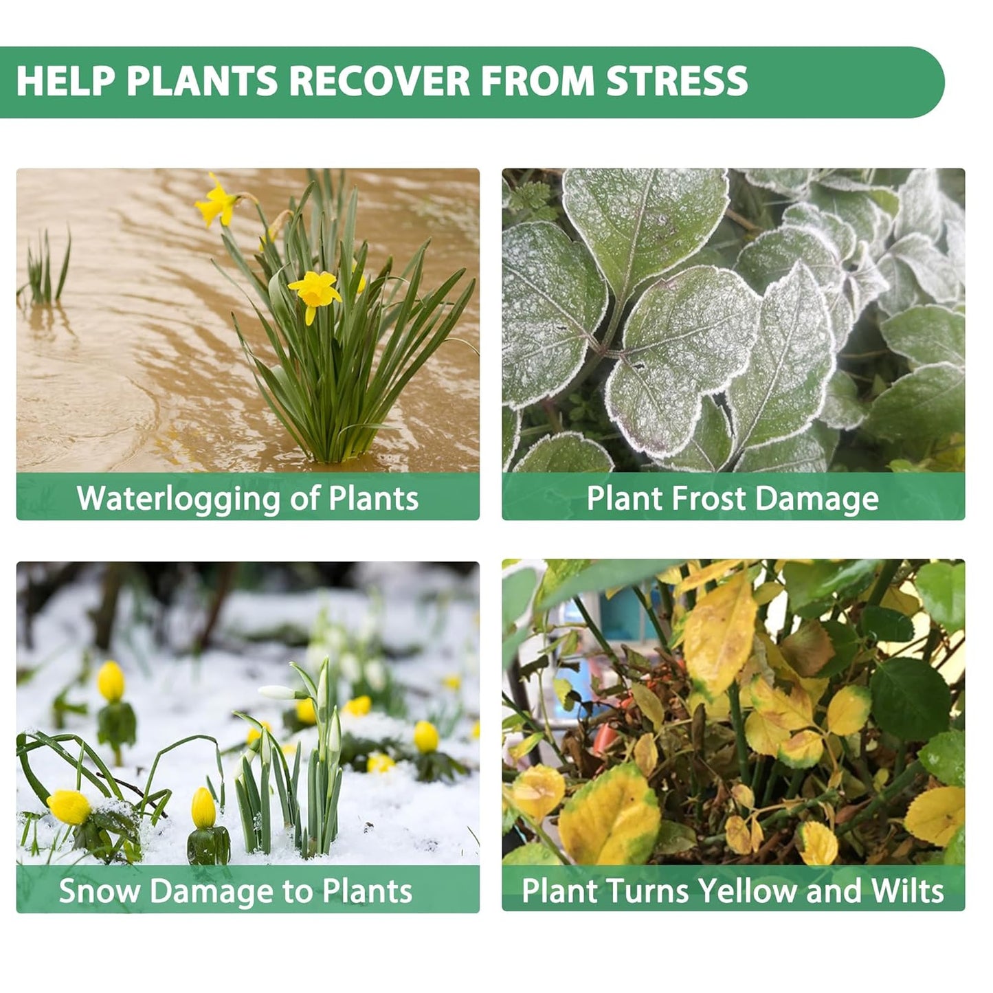 Organic Original Seaweed Booster, Plant Nutrient Concentrate, Kelp Lawn and Plant Liquid Fertilizer for All Indoor & Outdoor Plants, Non-Toxic and Safe, Help Plants Recover from Stress