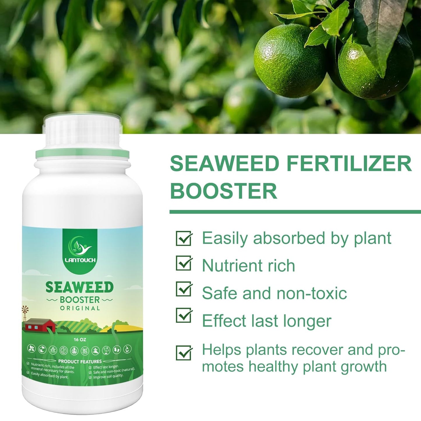Organic Original Seaweed Booster, Plant Nutrient Concentrate, Kelp Lawn and Plant Liquid Fertilizer for All Indoor & Outdoor Plants, Non-Toxic and Safe, Help Plants Recover from Stress