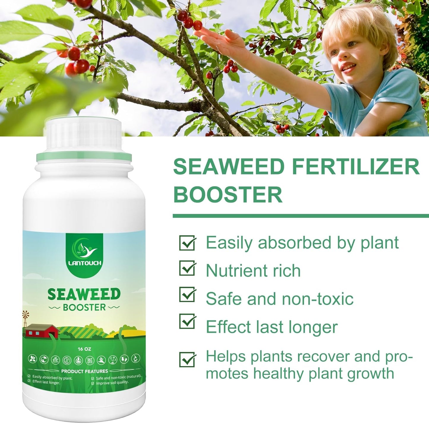 Organic Seaweed Booster, Plant Nutrient Concentrate, Kelp Lawn and Plant Concentrate Liquid Fertilizer for All Plants, Non-Toxic and Safe, Help Plants Healthy Growth and Recover from Stress